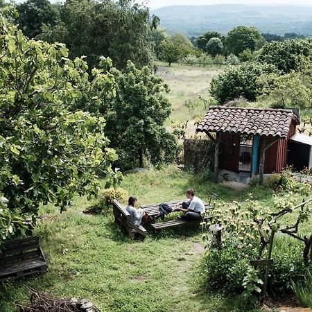 Torre Tanquian Eco Finca - Ribeira Sacra Pantón Buitenkant foto