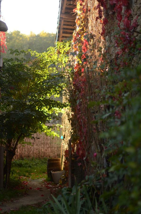 Torre Tanquian Eco Finca - Ribeira Sacra Pantón Buitenkant foto
