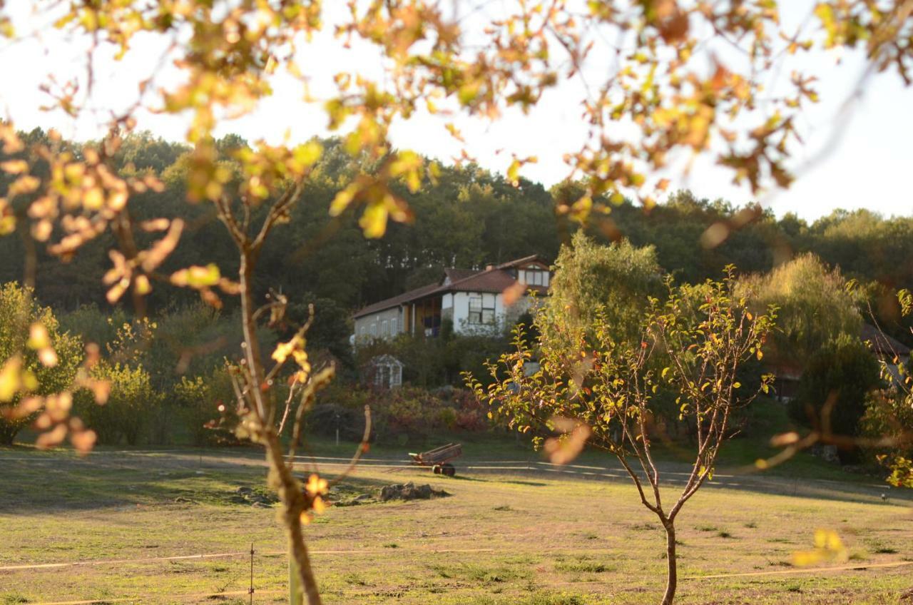 Torre Tanquian Eco Finca - Ribeira Sacra Pantón Buitenkant foto